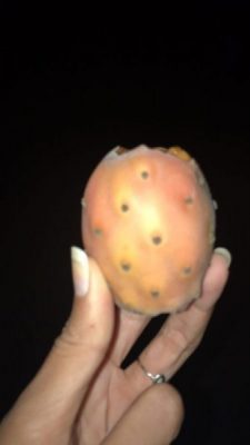 UNADJUSTEDNONRAW_thumb_5888